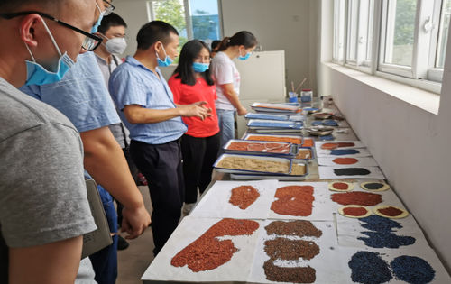 Latest company news about Chengdu Teknoloji Üniversitesi Malzeme Bölümü endüstri-üniversite-araştırma üssü, Çin Guangdong İnşaat Malzemeleri ile kapsamlı işbirliği